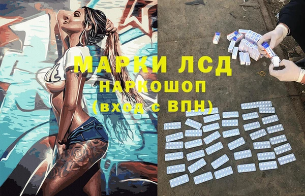 крисы Вязьма
