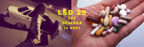прущий лед Горняк