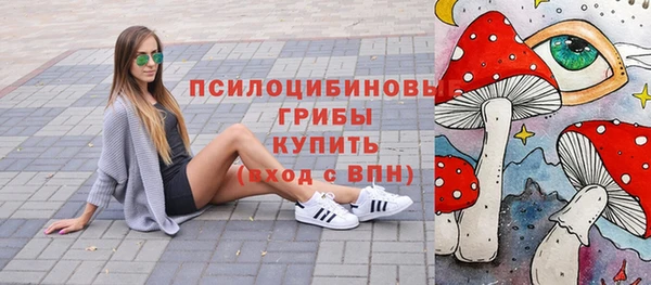 крисы Вязьма