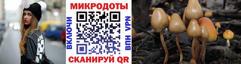 Галлюциногенные грибы мицелий  hydra   Меленки 
